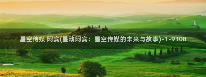 国产果冻传媒星空：星空传媒 阿宾(星动阿宾：星空传媒的未来与故事)