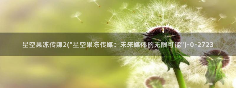 星空传媒Cindy：星空果冻传媒2(\