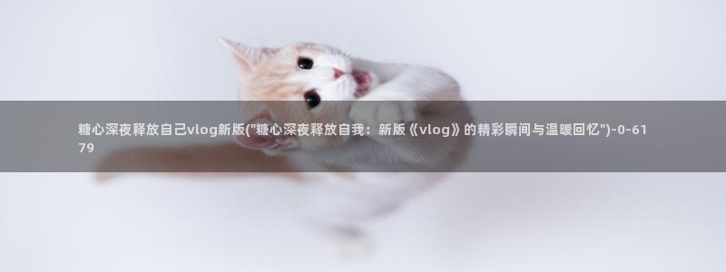 糖心vlog精产国品免：糖心深夜释放自己vlog新版(\