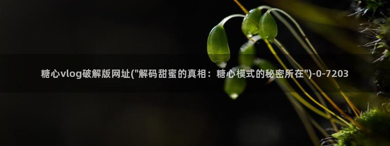 糖心.vlog
