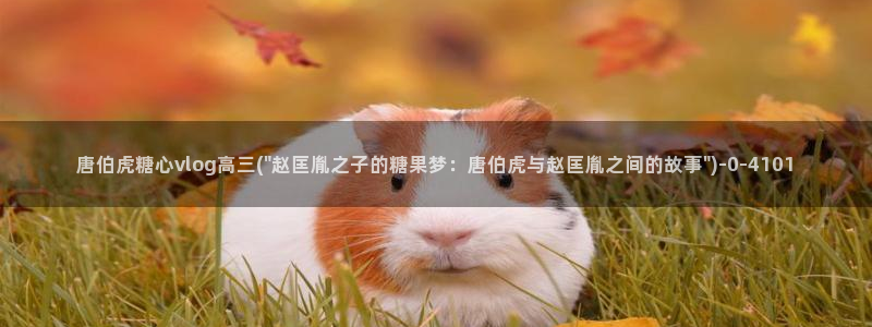 糖心vlog全集