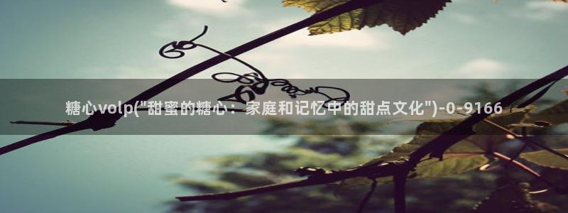 糖心vlog科普