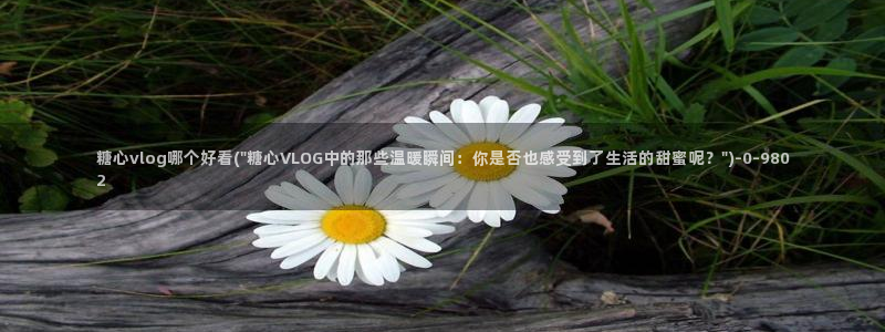 糖心在线播放vlog