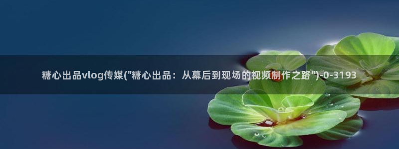 糖心vlog无限
