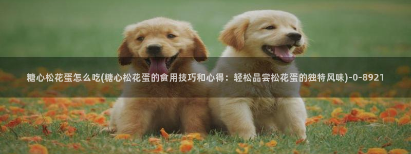 糖心vlog破解版无限vip