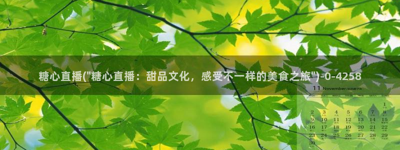 糖心vlog+