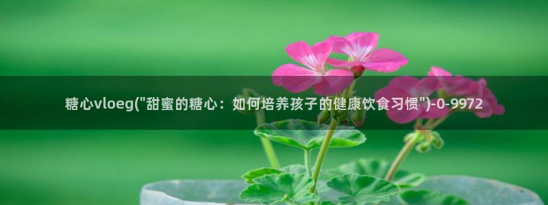 糖心vlog入口官网