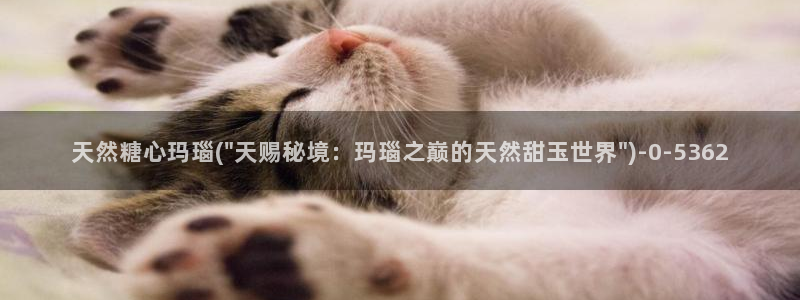 心糖vlog免费在线观看