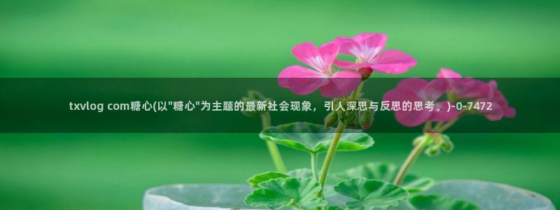 糖心vlog破解版ios